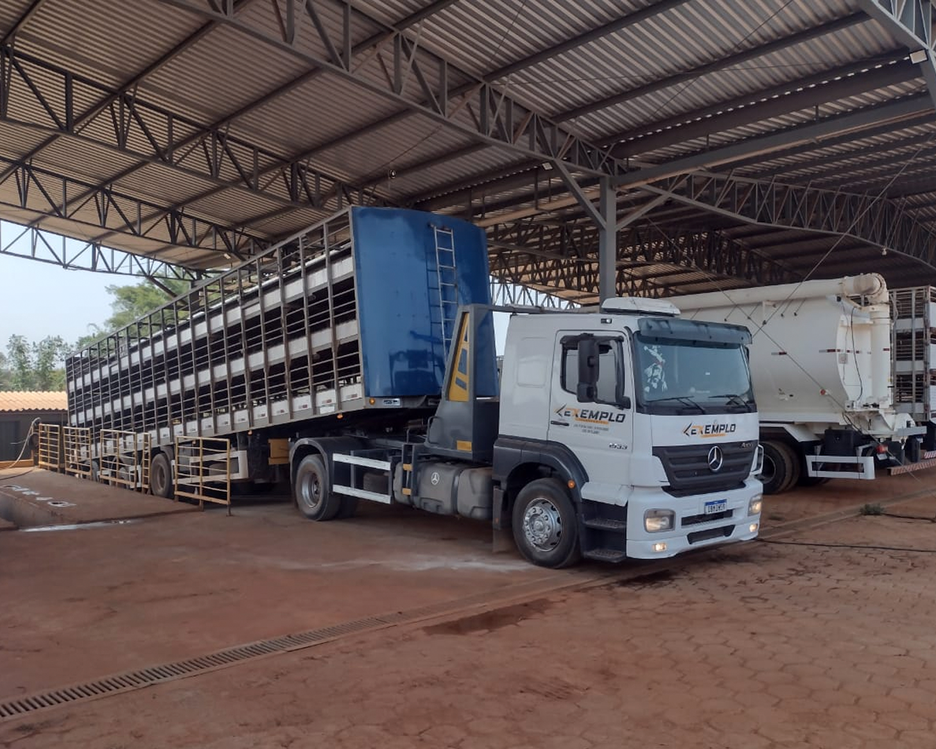 Caminhões da frota da Exemplo Transportes
